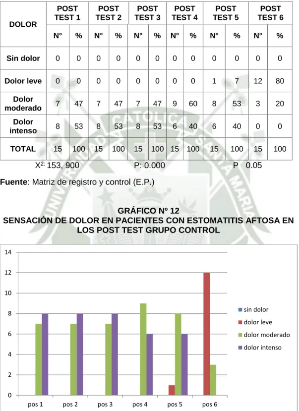 GRÁFICO Nº 12