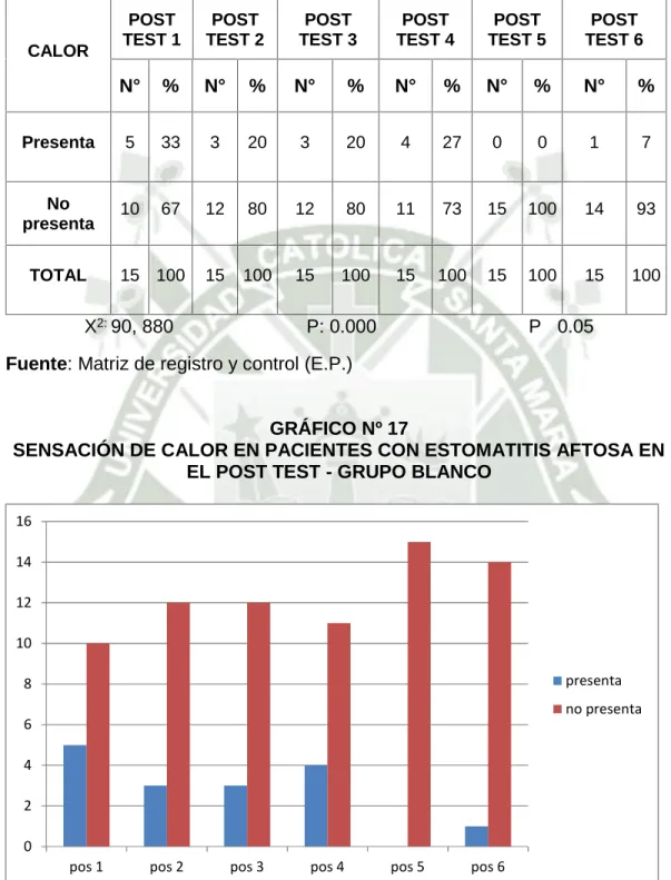 GRÁFICO Nº 17