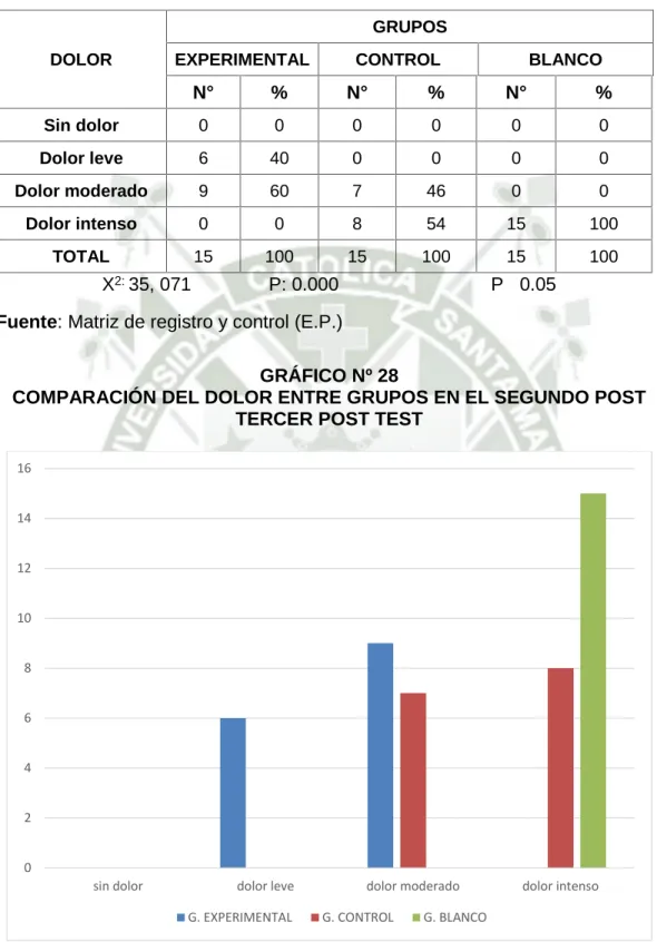 GRÁFICO Nº 28