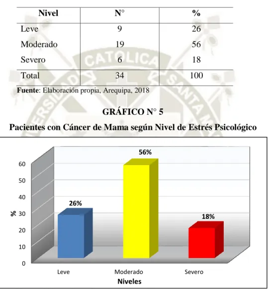 GRÁFICO N° 5 