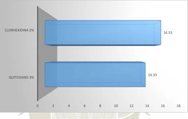 GRÁFICO N° 5 