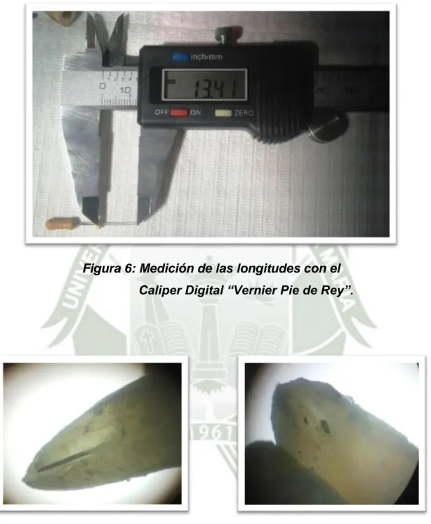Figura 6: Medición de las longitudes con el                      Caliper Digital “Vernier Pie de Rey”