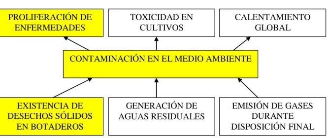 Figura No 1.1 