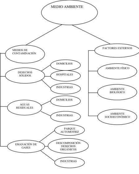 Figura No 2.2 
