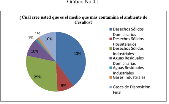 Gráfico No 4.1 