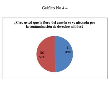 Gráfico No 4.4 
