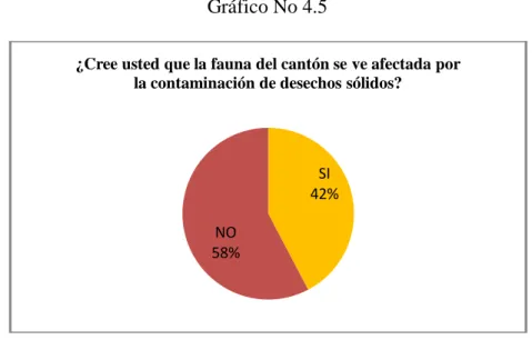 Gráfico No 4.5 