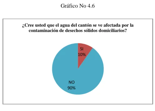 Gráfico No 4.6 