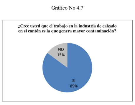 Gráfico No 4.7 