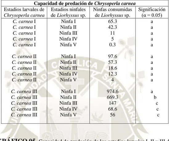 GRÁFICO 05.  Capacidad de predación de los estadios larvales I, II y III de  Chrysoperla carnea sobre los estadios ninfales de Liorhyssus sp.