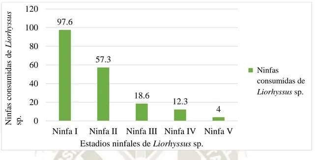 GRÁFICO 14. Capacidad de predación de Chrysoperla carnea larva III sobre los estadios  ninfales de Liorhyssus sp