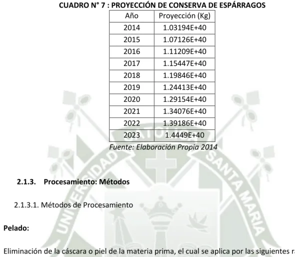 CUADRO N° 7 : PROYECCIÓN DE CONSERVA DE ESPÁRRAGOS  Año  Proyección (Kg)  2014  1.03194E+40  2015  1.07126E+40  2016  1.11209E+40  2017  1.15447E+40  2018  1.19846E+40  2019  1.24413E+40  2020  1.29154E+40  2021  1.34076E+40  2022  1.39186E+40  2023  1.444