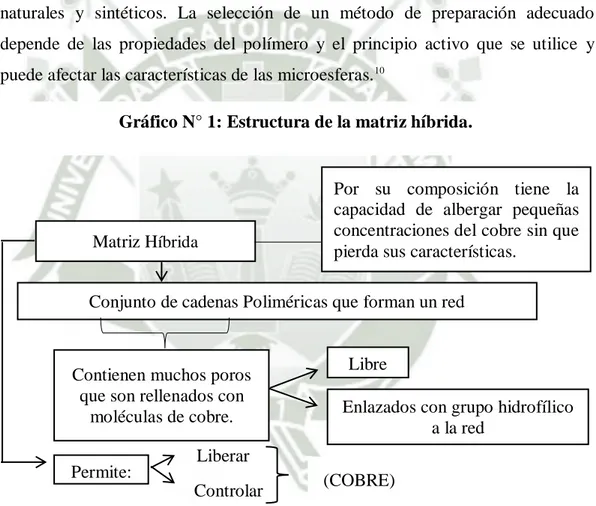 Cuadro N° 1: Estructura de la matriz híbrida 