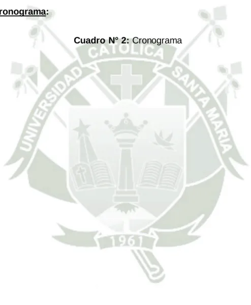 Cuadro N° 2: Cronograma 