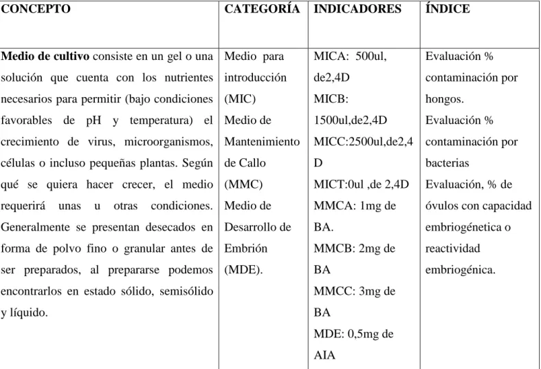CUADRO 3. OPERACIONALIZACIÓN DE LA VARIABLE INDEPENDIENTE “MEDIOS  DE   CULTIVO “ 