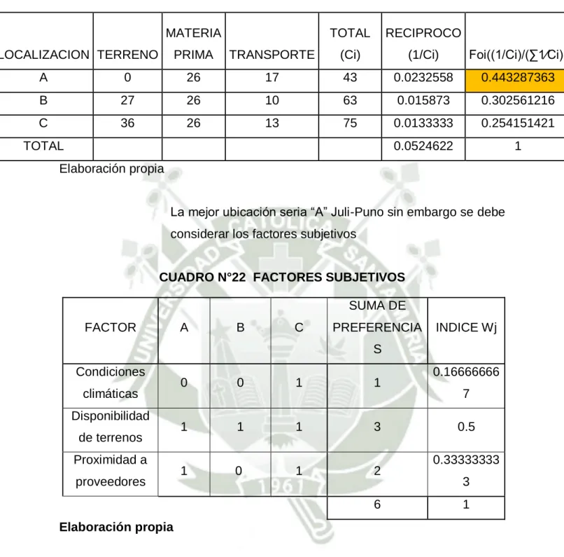 CUADRO N°22  FACTORES SUBJETIVOS 