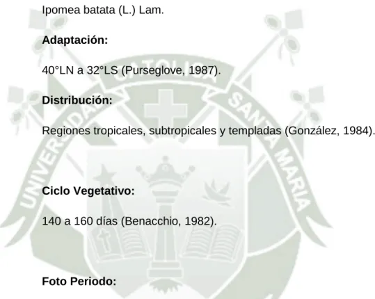 Foto Periodo: 