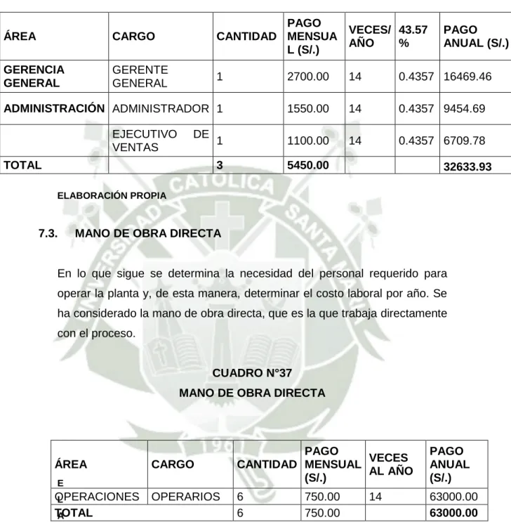 CUADRO N°37  MANO DE OBRA DIRECTA 