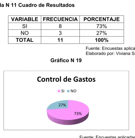 Gráfico N 19 