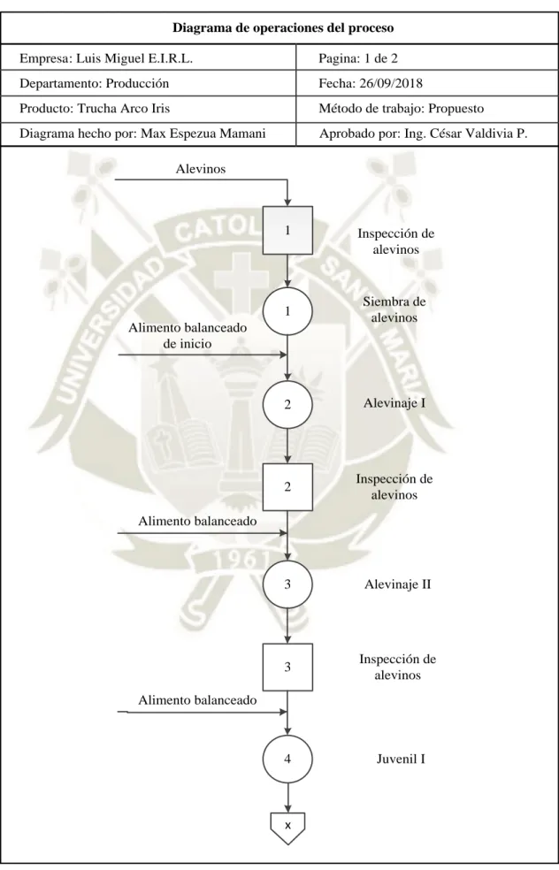 Figura 7. Diagrama de operaciones del proceso de producción de truchas 