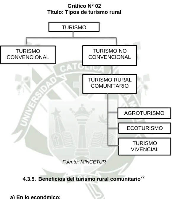 Gráfico N° 02 