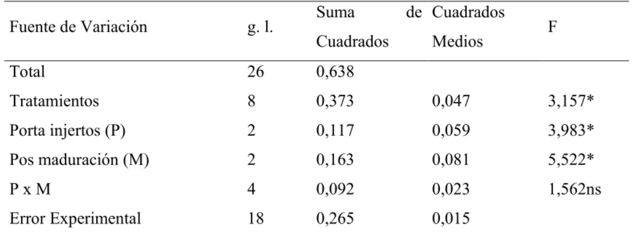 CUADRO 12.  ANÁLISIS DE VARIANZA PARA LA VARIABLE LONGITUD  DEL FRUTO. 