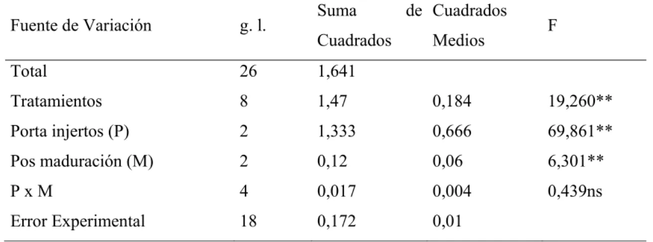 CUADRO 16.  ANÁLISIS DE VARIANZA PARA LA VARIABLE DIÁMETRO  DEL FRUTO 