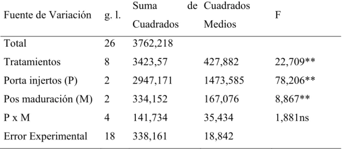 CUADRO 20.  ANÁLISIS DE VARIANZA PARA LA VARIABLE PESO                                TOTAL FRUTO