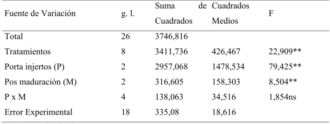CUADRO 24.  ANÁLISIS DE VARIANZA PARA LA VARIABLE VOLÚMEN  DEL FRUTO. 