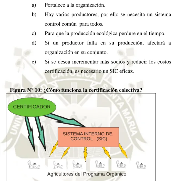 Figura N° 10: ¿Cómo funciona la certificación colectiva? 