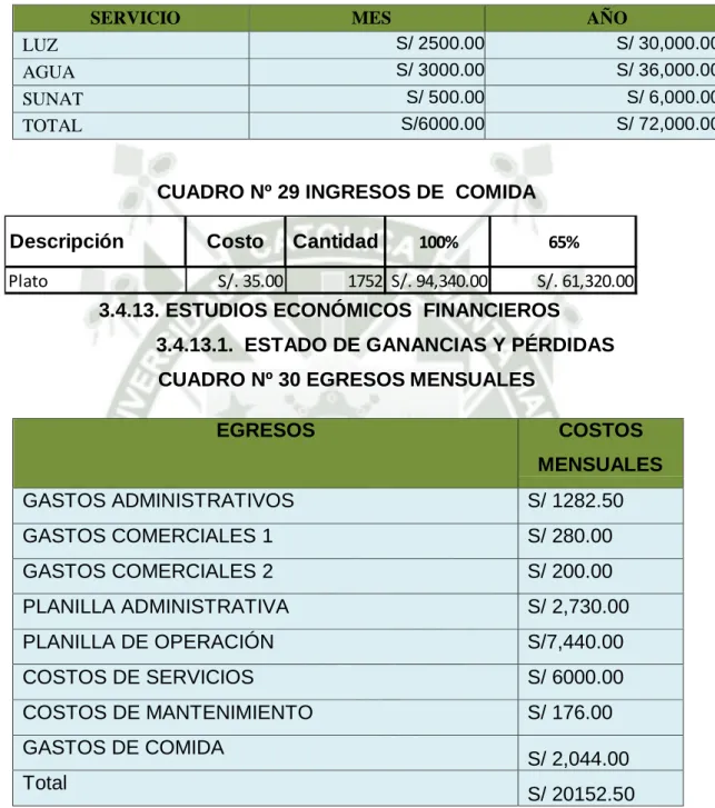 CUADRO Nº 28  COSTOS DE SERVICIOS 