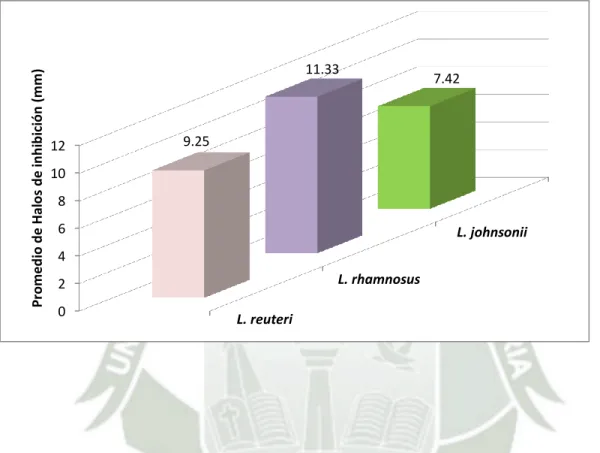Gráfico  N°2.  Efecto  de  inhibición  de  las  cepas  probióticas  sobre  la  Porphyromona Gingivalis 