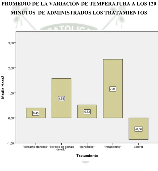 GRÁFICO N°3 