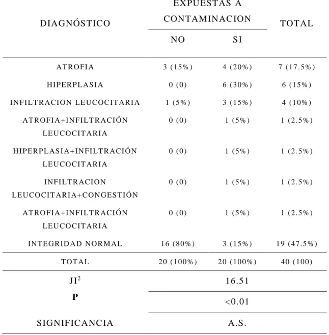 TABLA 5 DISTRIBUCIÓN DE ADULTOS EXPUESTOS  Y NO EXPUESTOS A  CONTAMINACIÓN AMBIENTAL SEGÚN DIAGNÓSTICO 