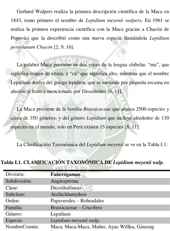 Tabla I.1. CLASIFICACIÓN TAXONÓMICA DE Lepidium meyenii walp. 