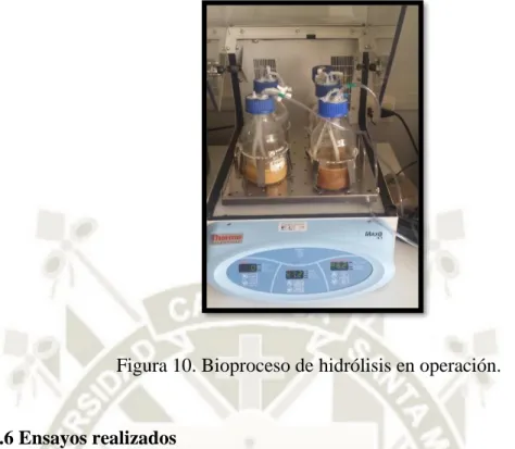 Figura 10. Bioproceso de hidrólisis en operación. 