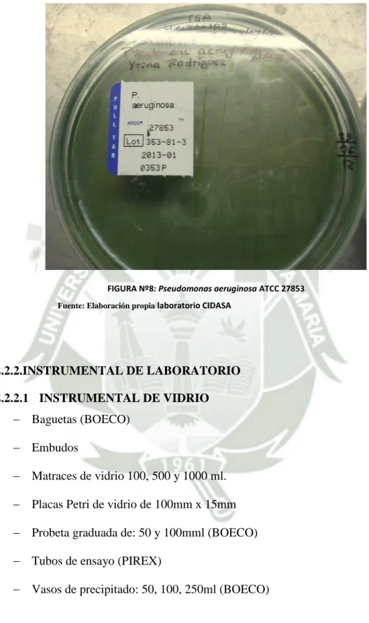 FIGURA Nº8: Pseudomonas aeruginosa ATCC 27853  Fuente: Elaboración propia  laboratorio CIDASA