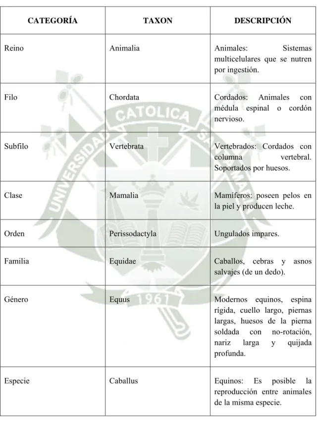 CUADRO Nro. 1 
