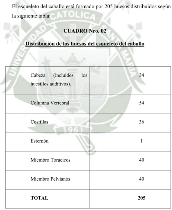CUADRO Nro. 02 