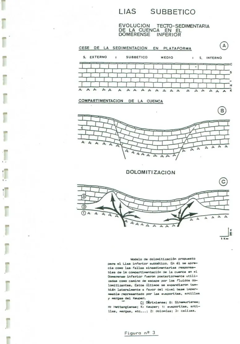Figura no 3