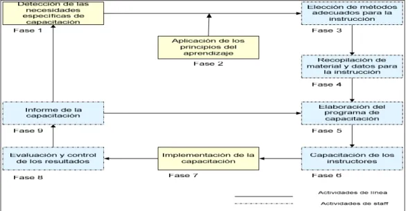 Gráfico Nº4:  El ciclo de la capacitación 