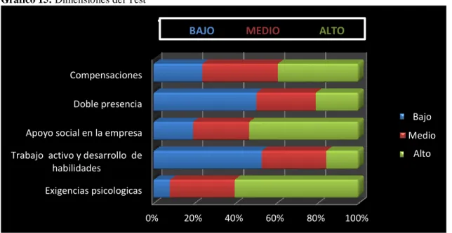 Gráfico 15: Dimensiones del Test 