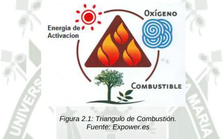 Figura 2.1: Triangulo de Combustión. 