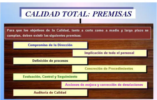 Gráfico No.5 