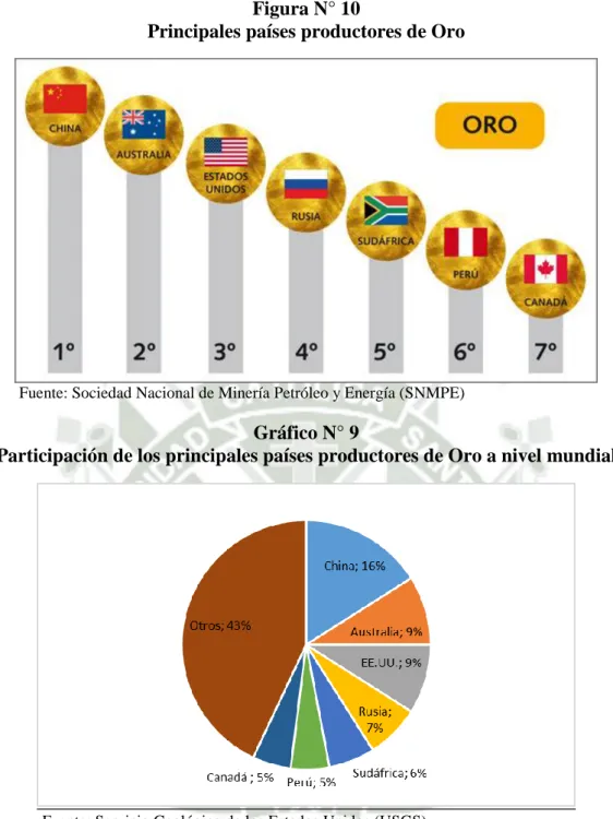 Gráfico N° 9 