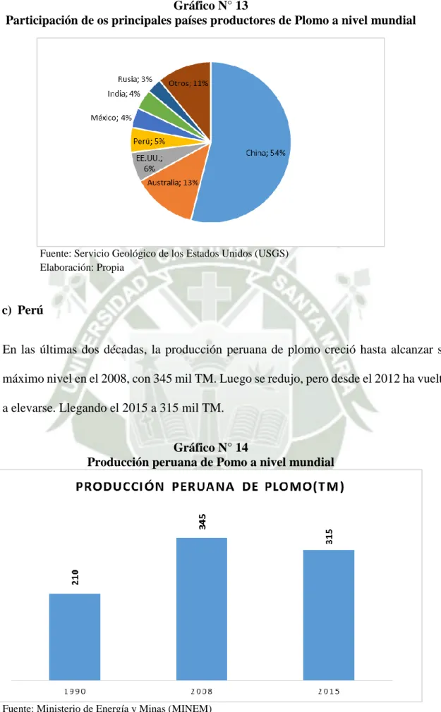 Gráfico N° 14 