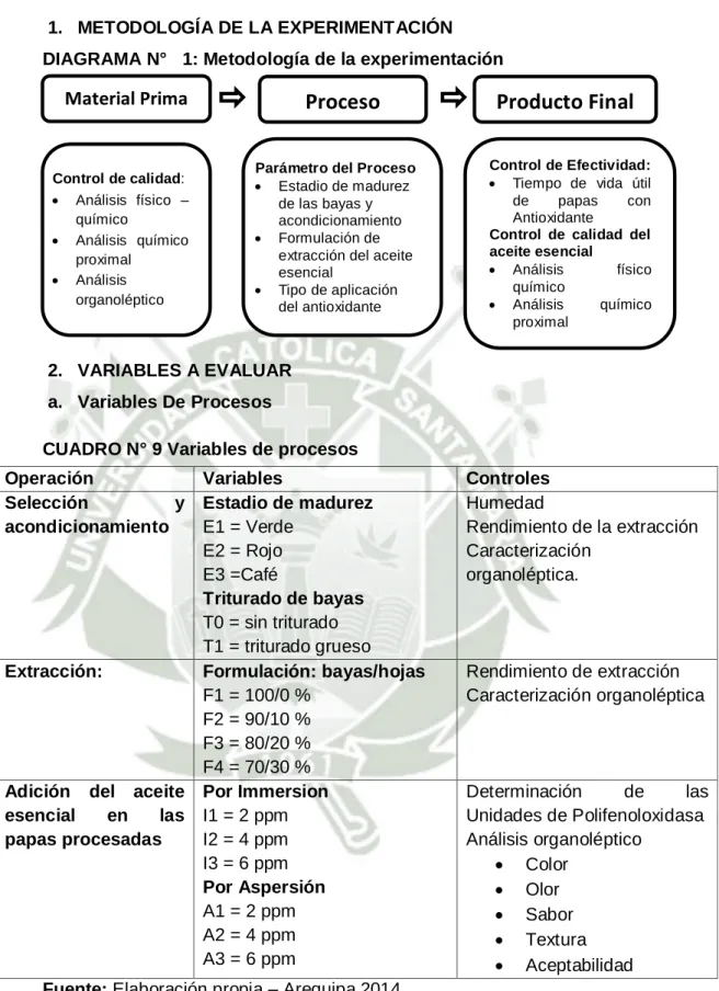 CUADRO N° 9 Variables de procesos 