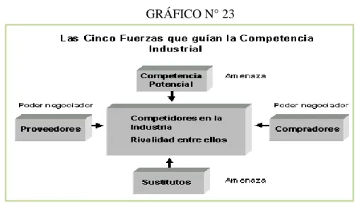 GRÁFICO N° 23 