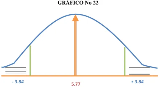 GRÁFICO No 22 