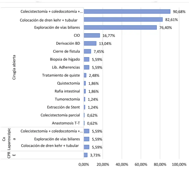 Gráfico 12 